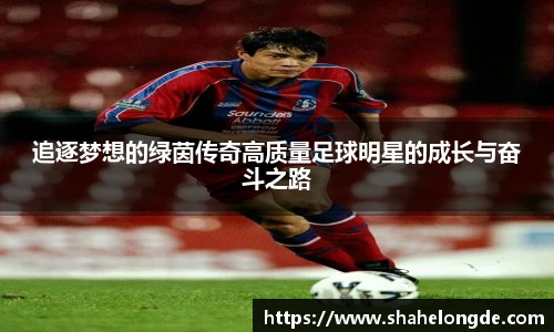 追逐梦想的绿茵传奇高质量足球明星的成长与奋斗之路